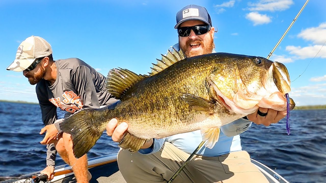 Shaky Head Worms For BIG Bass!! Post Spawn Bass Fishing Madness! 