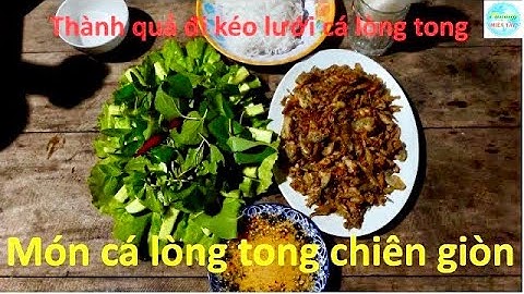 1066 | Kéo lưới cá lòng tong về chiên giòn | Fishing