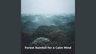 Rainfall Calm Mind Drift, Pt.10