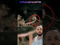 هل كنت تعلم ان الفأر يلعب الكونغفو هذا الفيديو ليس من الخيال اغرب الحيوانات