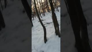 Istarci I Posavci Starosti 8 Mjeseci U Gateru...