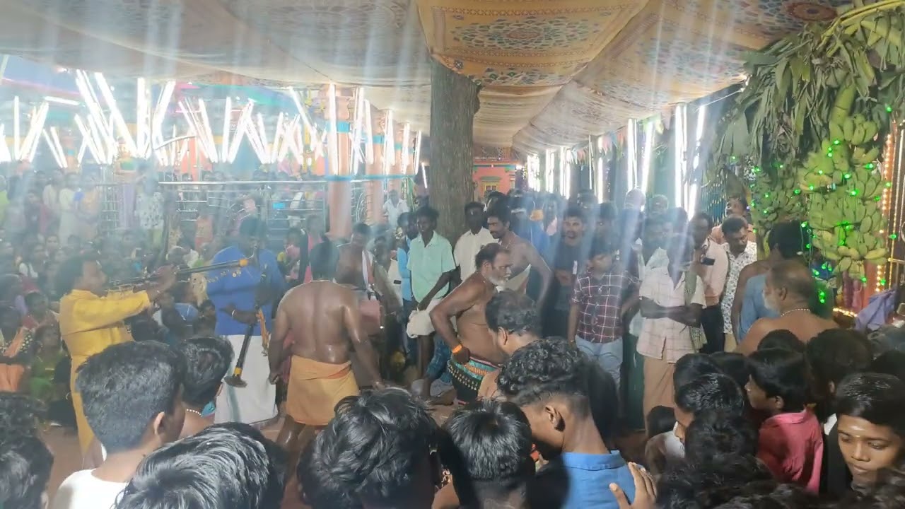 சேர்வை கார சுவாமி ஆட்டம், அருள்மிகு தேவி முத்தாரம்மன் திருக்கோயில்,மதுசூதனபுரம் 