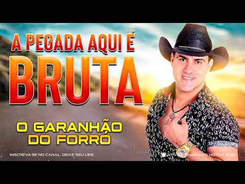 O Garanhão do Forró - a pegada Bruta