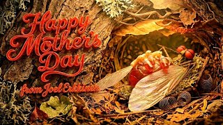 Happy Mothers Day from Joel Erkkinen