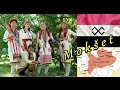 Луганяса келунесь ☀️ Moksha folk song