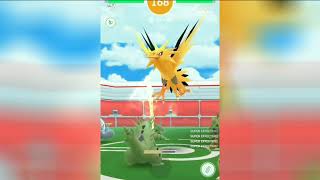 Zapdos Day Part 2 Pokemon Go