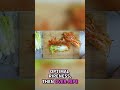 Kimchi Fermentation 🇰🇷 – Korea’s 1,000-Year Food Tradition #asiantradition #facts #korea #kimchi