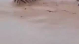 لحظة انهيار جسر الطيب شرقي ميسان بفعل السيول