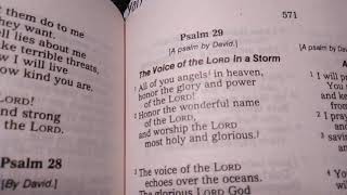 Psalms 29 The Voice Of The Lord In A Storm