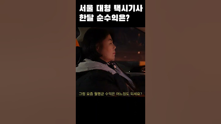 서울 대형 택시기사 한달 수입은?