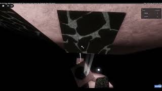 Enigmatic Void Completion