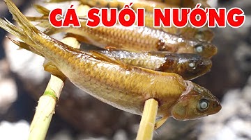 TRẢI NGHIỆM QUĂNG CHÀI BẮT CÁ SUỐI | Già Làng Tây Nguyên