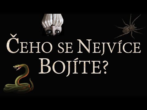 Video: Čeho Se Každý člověk Nejvíce Bojí?