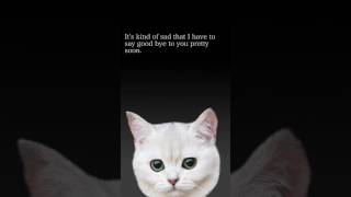 [Just Kill Me Hack] 1 HIT KO Gameplay Part 5 screenshot 4