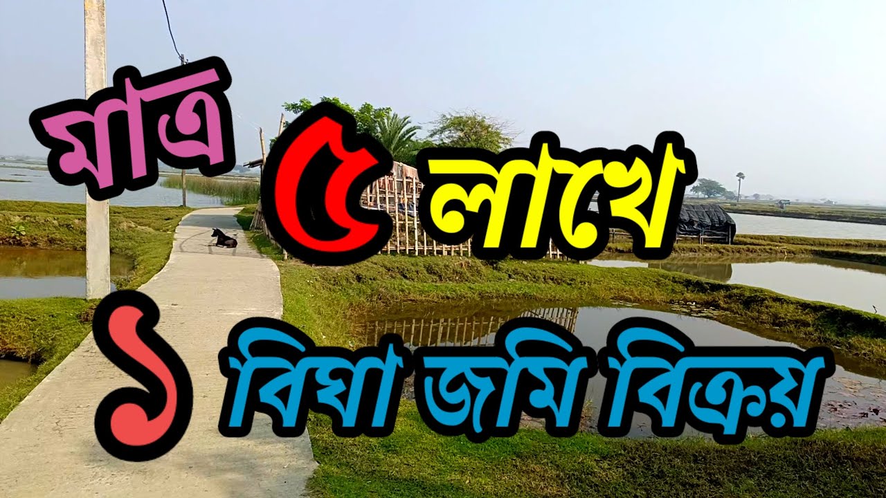সস্তায় ১ বিঘা জমি কিনে ব্যবসা করুন, সুবর্ণ সুযোগ একেবারেই হাতছাড়া করবেন না। 💸💸💸