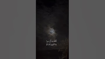 تلاوة خاشعة ومؤثرة للشيخ ماهر المعيقلي #اكسبلور #تيك_توك #duet #لايك #راحة_نفسية #حالات_واتس