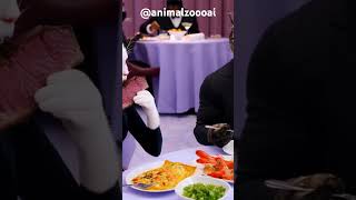 #cat #ai #cute #funny #cartoon #dinner #fancy #steak #shrimp #pasta #love #romantic #food #animals