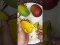 No Sugar Mango Ice Cream 🥭🍨 | Healthy ice-cream #mango #mangoicecream #healthy #recipe #viralreels