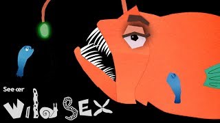 These Anglerfish Are Ual Parasites That Die Without Their Lovers