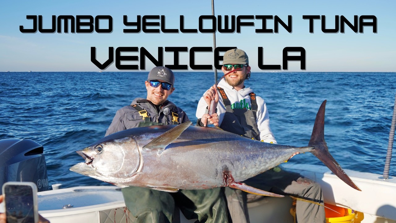 Venice, LA Tuna Fishing at its ABSOLUTE BEST!