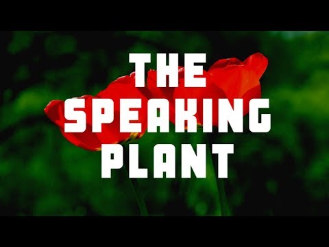 The speaking plant(Google Tulip)•தமிழ்|MrTech தமிழ்