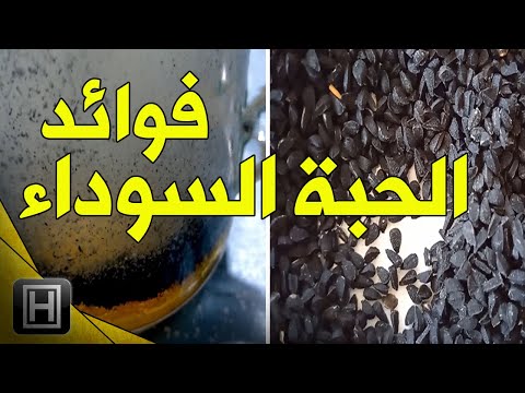 فوائد الحبة السوداء وجميع استعمالاتها لعلاج جسمك وحفظ صحتك