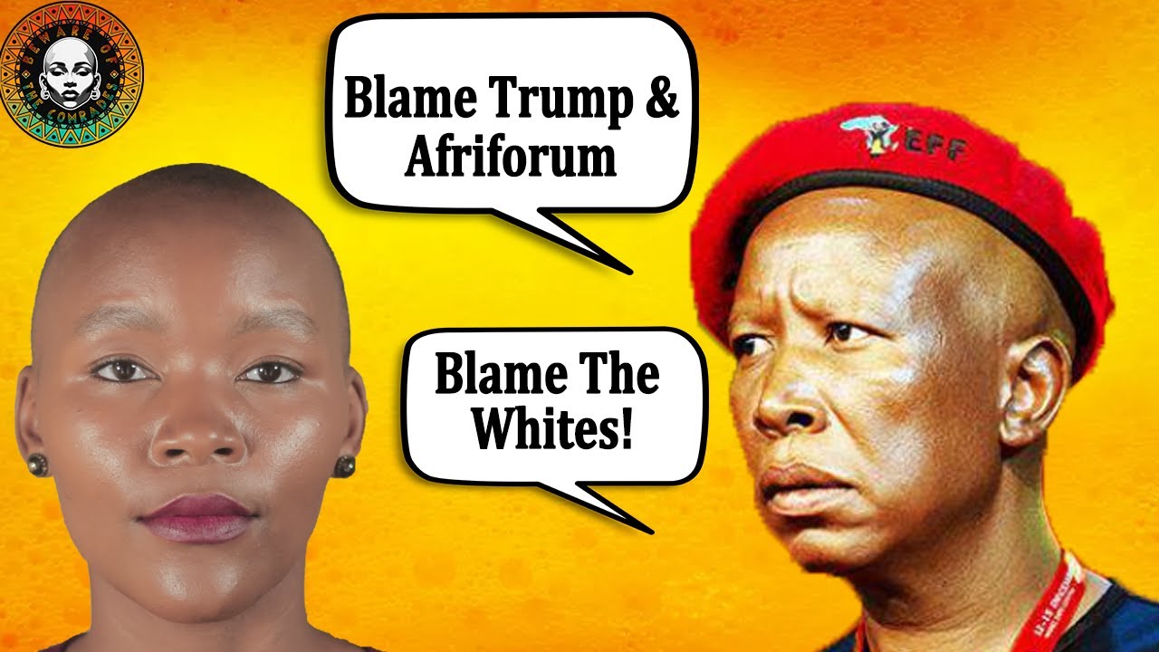 Did Malema Break the Law? Gun Firing, Racism Claims & Legal Facts