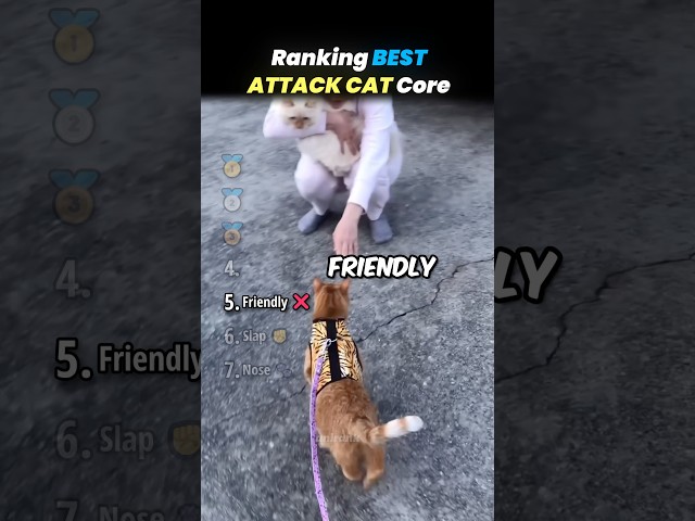 Ranking BEST CAT ATTACK Core Moments!! 🐱🛡️ Video Thumbnail