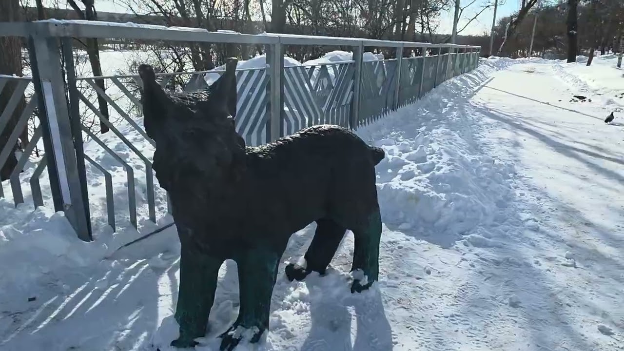 Белочки 🐿 🐿 в парке ❄️