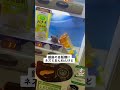 自販機にネズミいたww #Shorts #TikTok