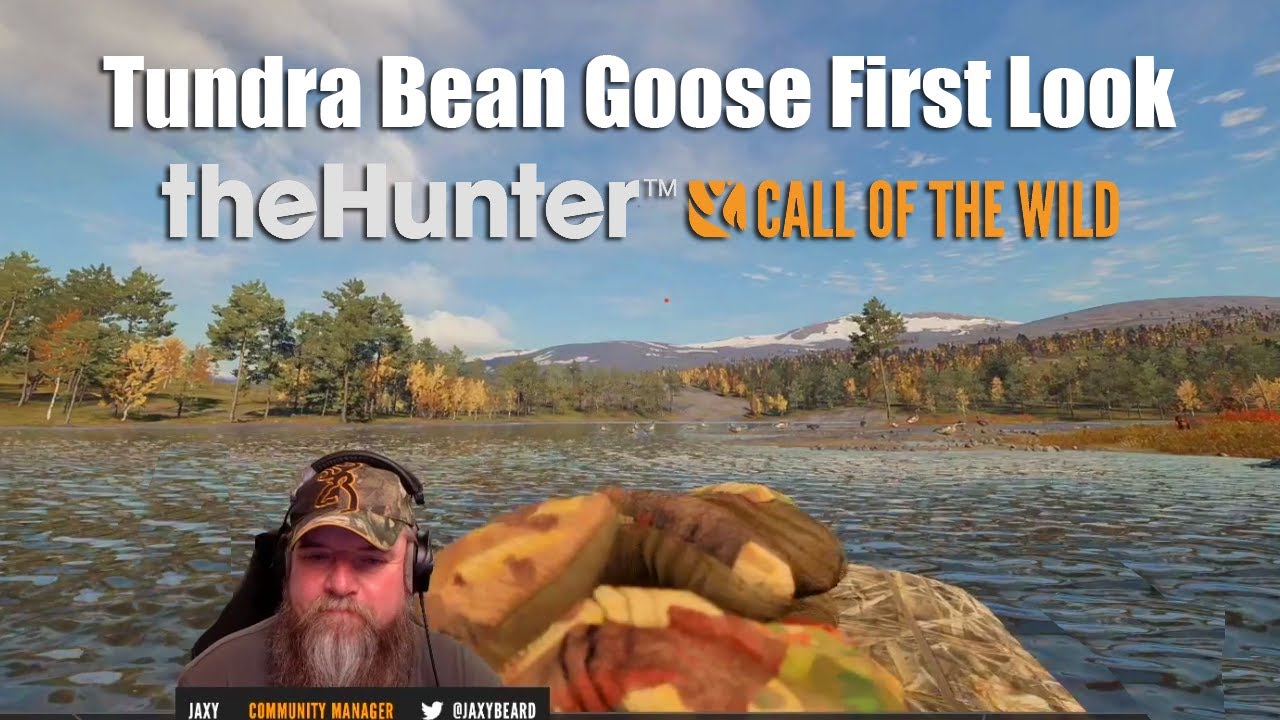 Tundra Bean Goose First LOOK theHunter Call Of The Wild YouTube