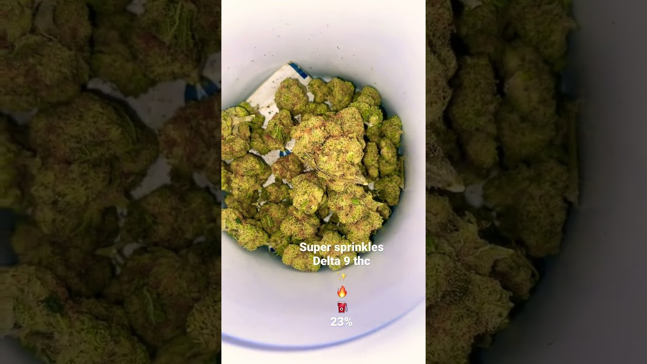 smoke sesh 💨💨💨