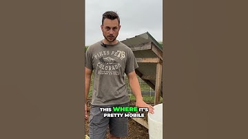 Innovative Pig Watering System A Game Changer!