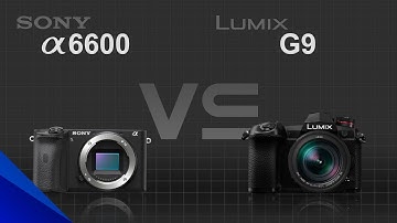 Sony alpha a6600 vs Panasonic Lumix G9