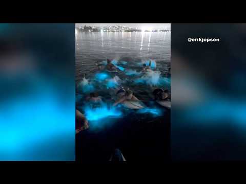 Bioluminescence spotted at parts of Mission Bay