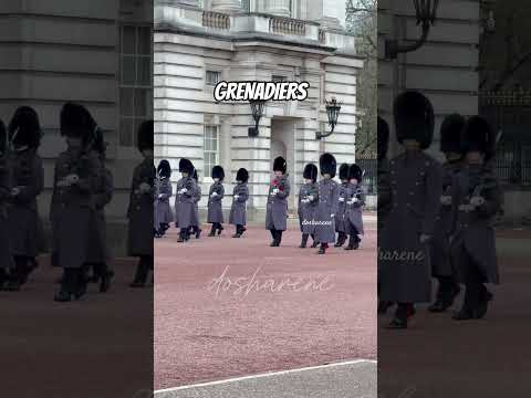 26/01/25 #grenadiers #changingoftheguard