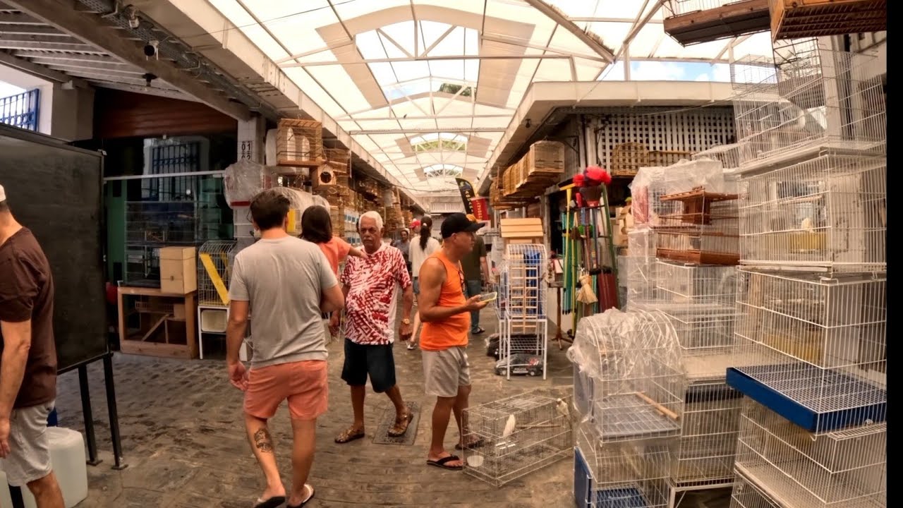 PÁSSAROS , AQUÁRIOS, PEIXES, GAIOLAS RAÇÕES E ACESSÓRIOS, MERCADO DA MADALENA RECIFE - PE.