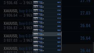 No risk, no financial freedom #fyp #foryou #f #trad #trader