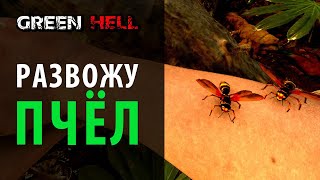 Занимательное пчеловодство. Green Hell