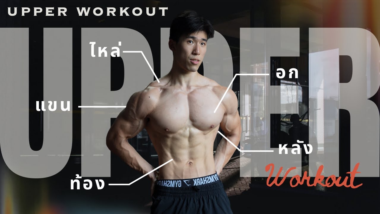 แจกโปรแกรมUPPER BODY(เล่นตามได้เลย)