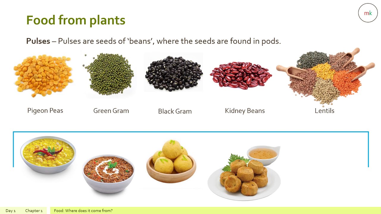 what do you mean by food science what do you mean by food science