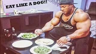 You Gotta Eat Like A Dog - You Are Not Eating Enough Bodybuilders Diet Motivation