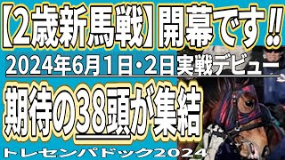 2歳新馬戦2024】開幕です！期待の若駒38頭の勇姿を！・2024年6月1日.2日実戦デビュー！トレセンパドック2024　（掲載馬は概要欄を参考に）