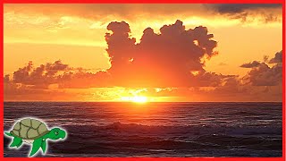 🔴 Bella Bella Beat, Meditation Music, Calm Relaxing Music, Reading Music, Sleeping Music #151 screenshot 5