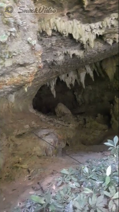 story WA pedalaman kalimantan
