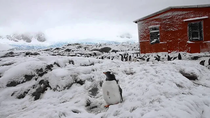 Antarctic Expedition March 2014