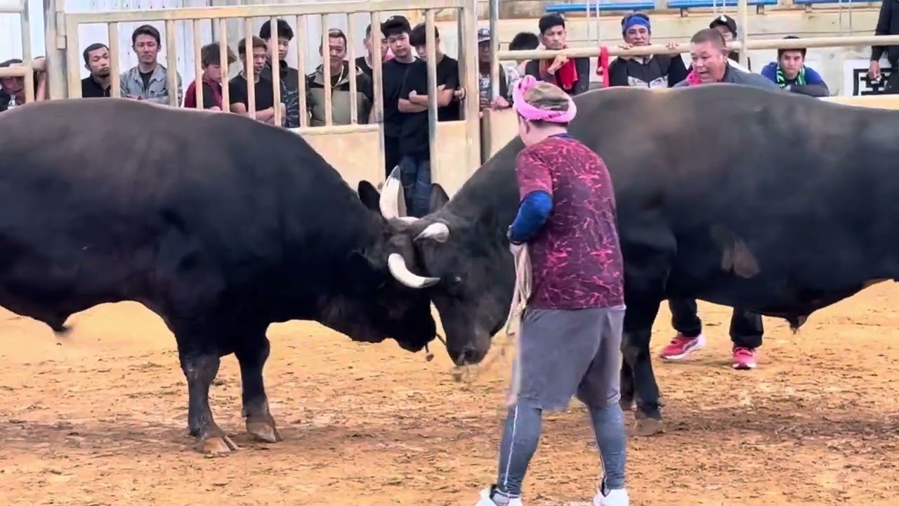 2025年6月29日 - YouTube