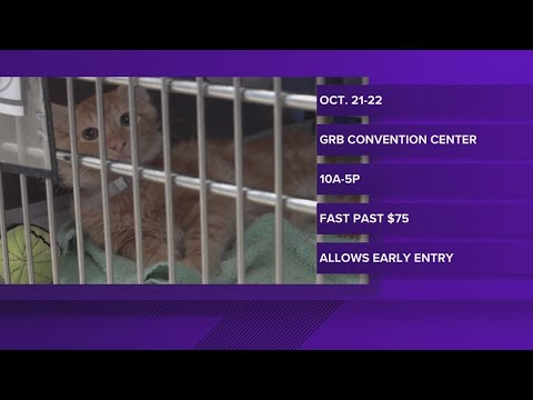 Mega pet adoption event happening in Houston - YouTube