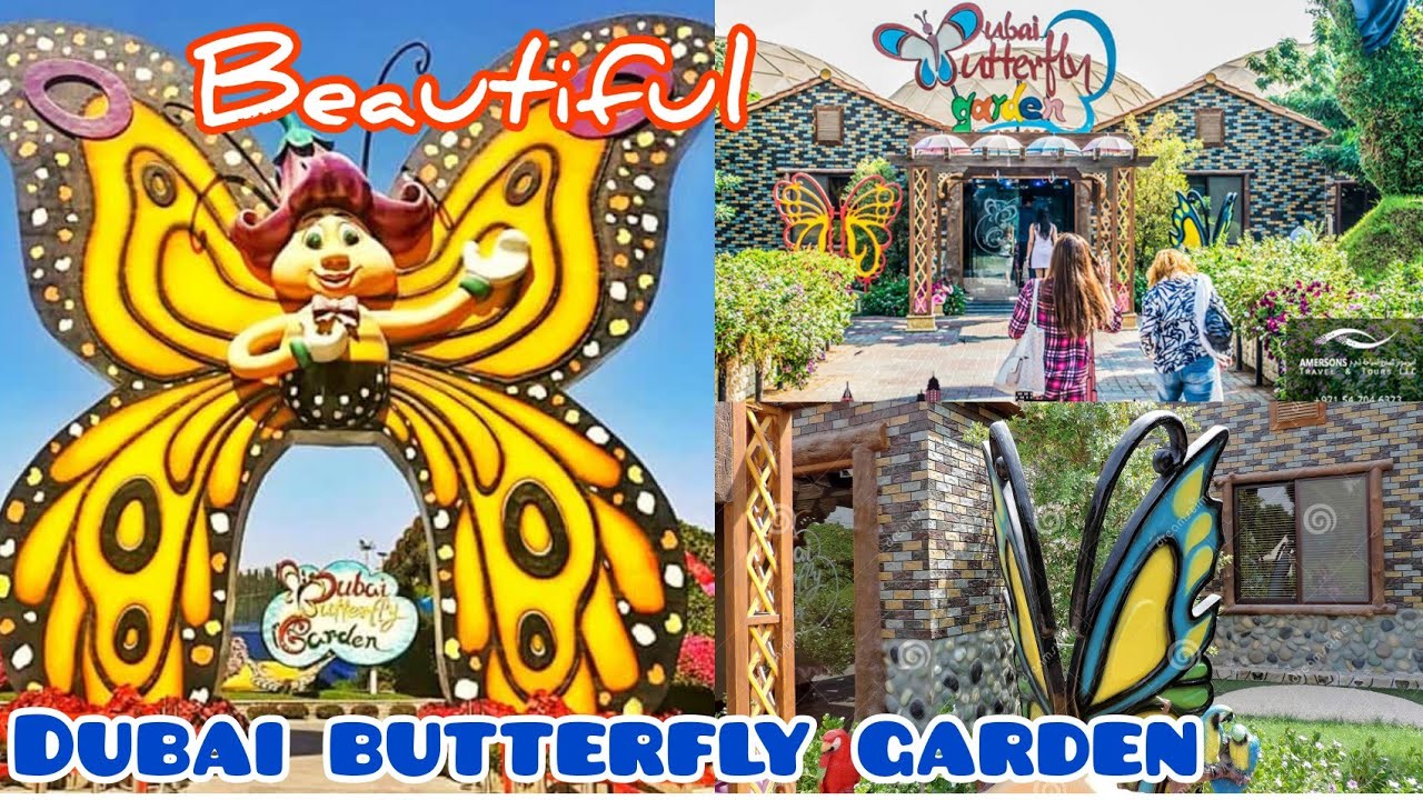 Dubai Butterfly Garden must visit place in Dubai Dubai Travel Vlog