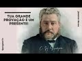 Tua grande provação é um presente | C. H. Spurgeon ( 1834 - 1892 )